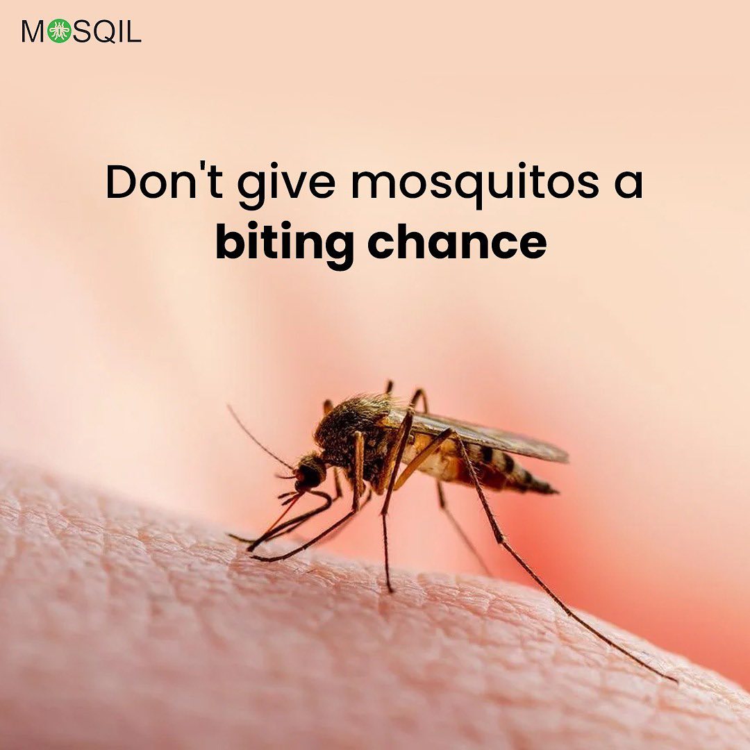 Mosqil Mosquito Killer Machine